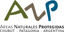 Logo ANP